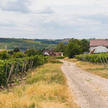 Appartment In Den Weinbergen Bei Mainz - Mit 2X Doppelzimmern, 1X Grosses Wohnzimmer, Bad & Kueche Stadecken-Elsheim Kültér fotó